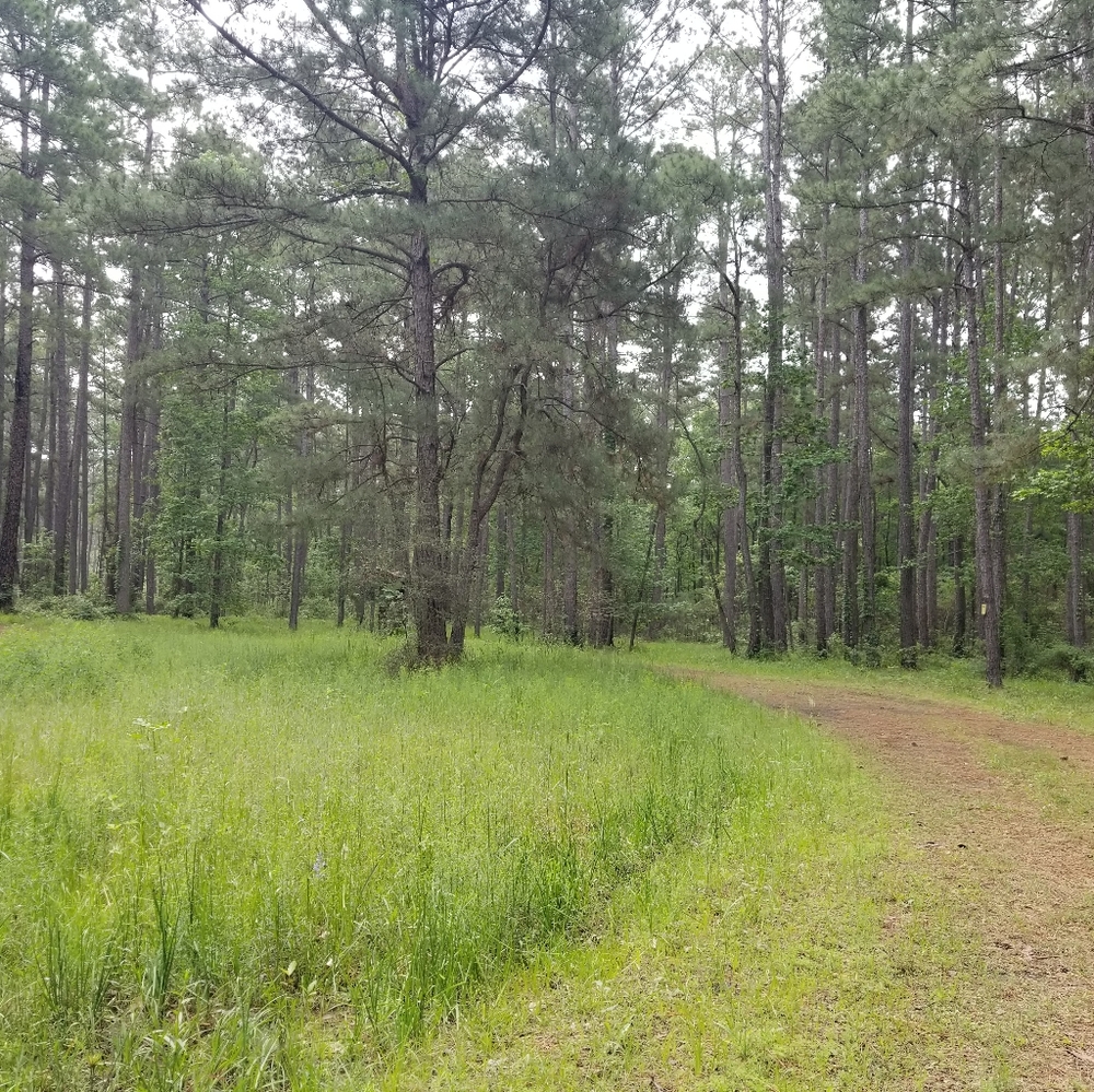 Meet your Posher, Austin